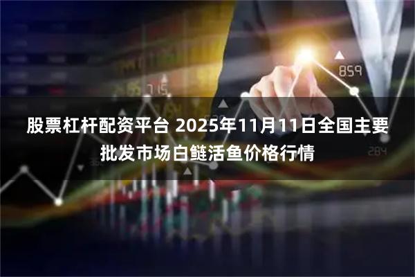 股票杠杆配资平台 2025年11月11日全国主要批发市场白鲢活鱼价格行情