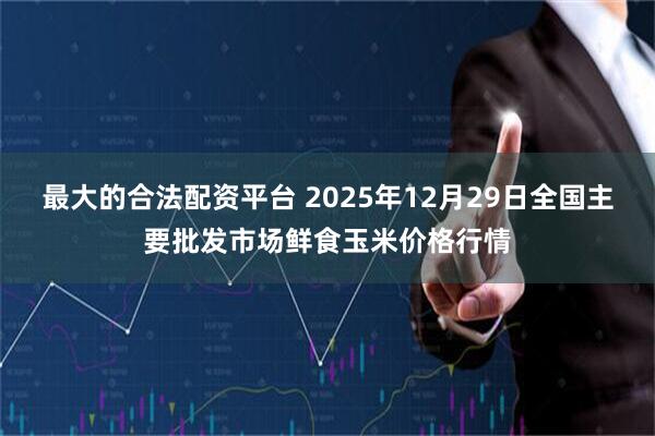 最大的合法配资平台 2025年12月29日全国主要批发市场鲜食玉米价格行情