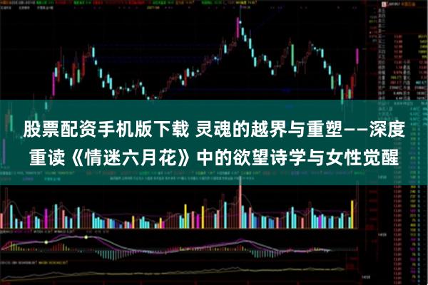 股票配资手机版下载 灵魂的越界与重塑——深度重读《情迷六月花》中的欲望诗学与女性觉醒