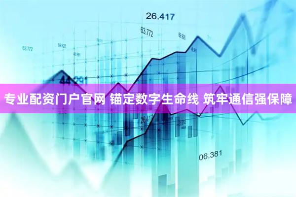 专业配资门户官网 锚定数字生命线 筑牢通信强保障