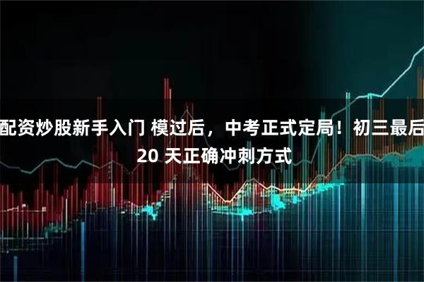 配资炒股新手入门 模过后,中考正式定局!初三最后 20 天正确冲刺方式